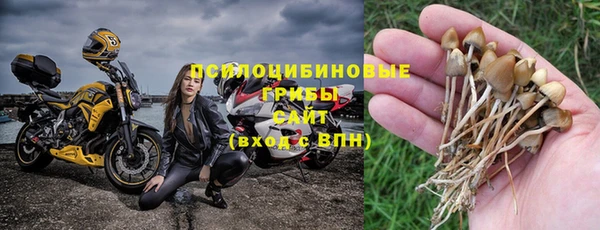 твердый Арсеньев